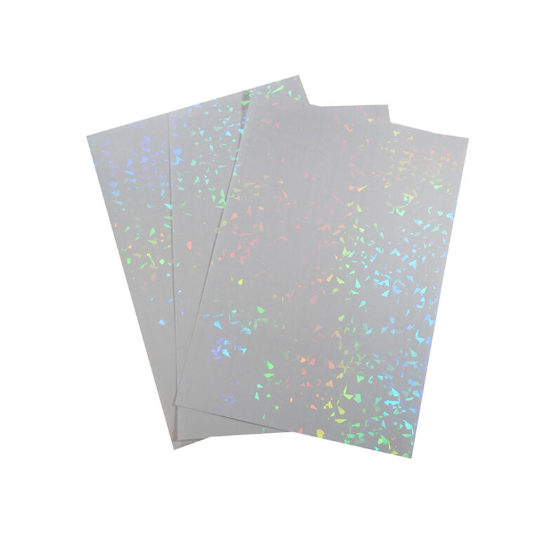 HOLO-2002