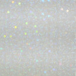 HOLO-2005