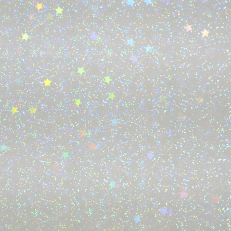 HOLO-2005
