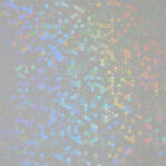 HOLO-2007