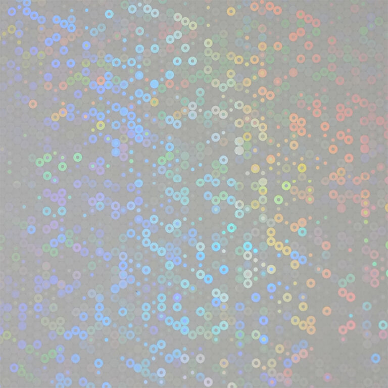 HOLO-2007