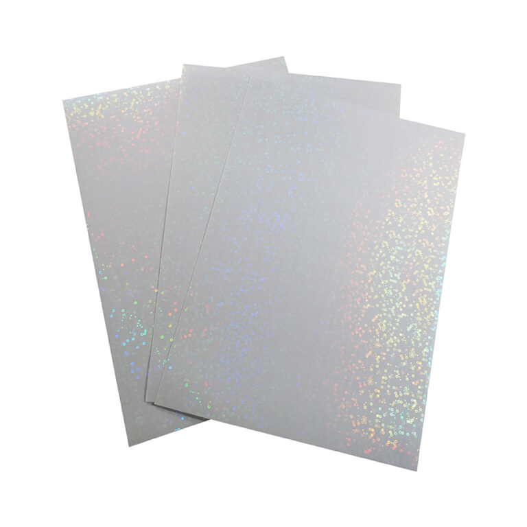 HOLO-2007