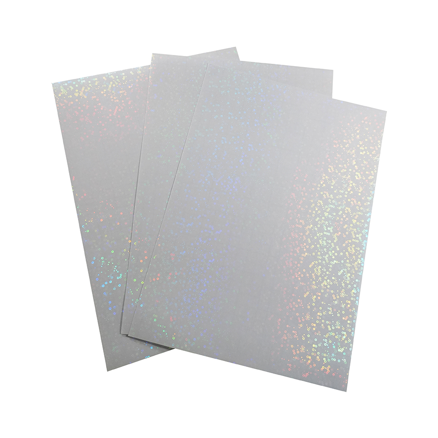 HOLO-2007