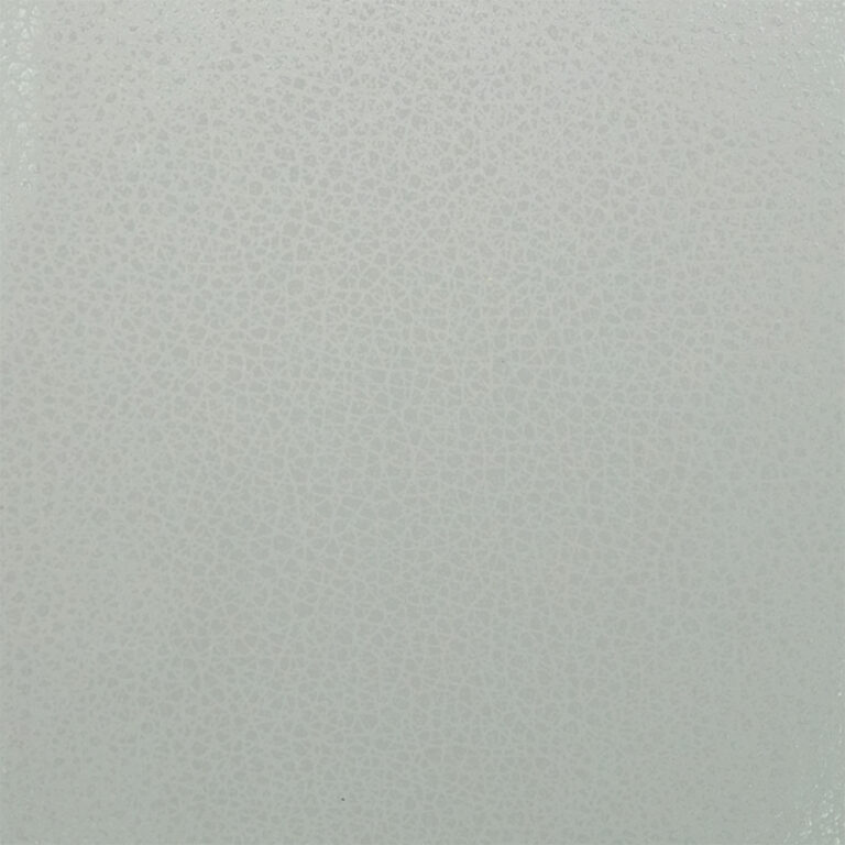 HOLO-2008