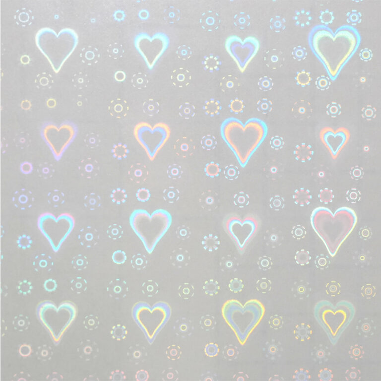 HOLO-2006