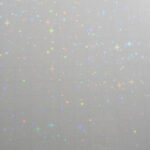 HOLO-2005