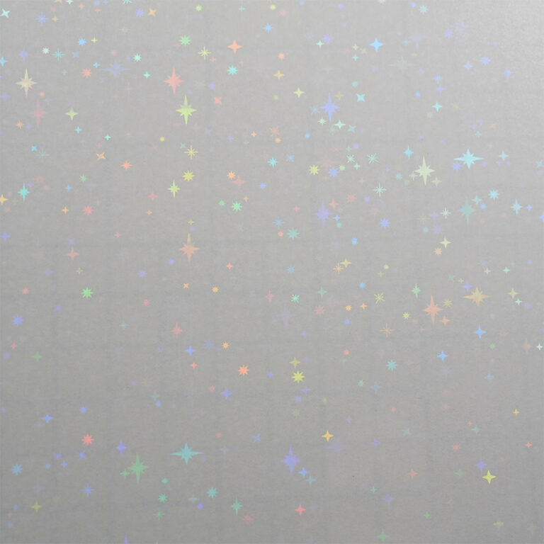 HOLO-2005