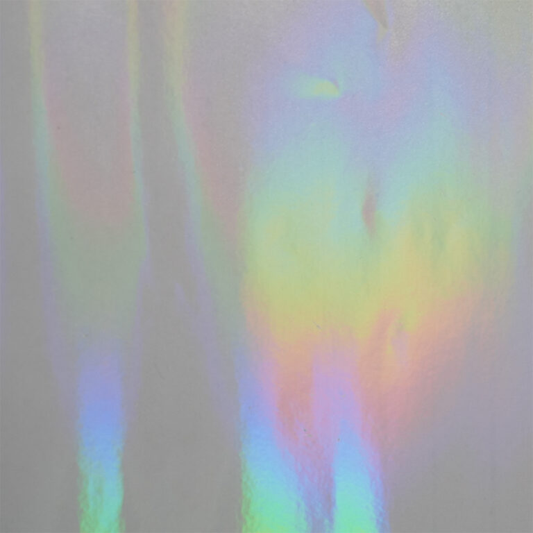HOLO-2001