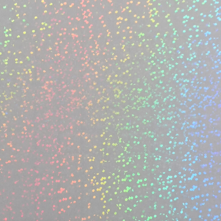 HOLO-2004