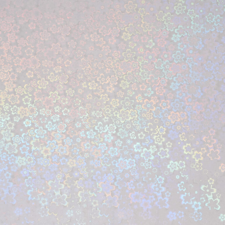 HOLO-2016