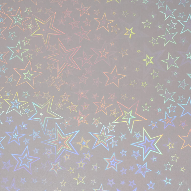 HOLO-2019