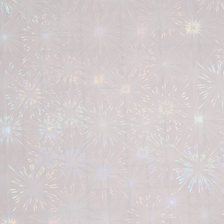 HOLO-2020