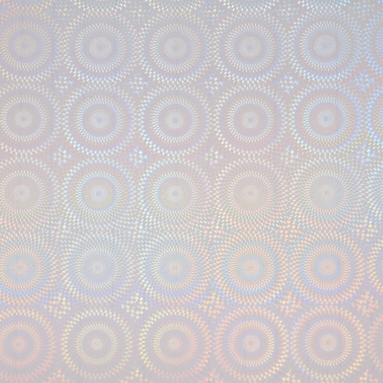 HOLO-2018