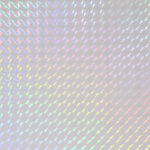HOLO-2014