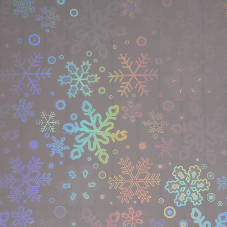 HOLO-2011
