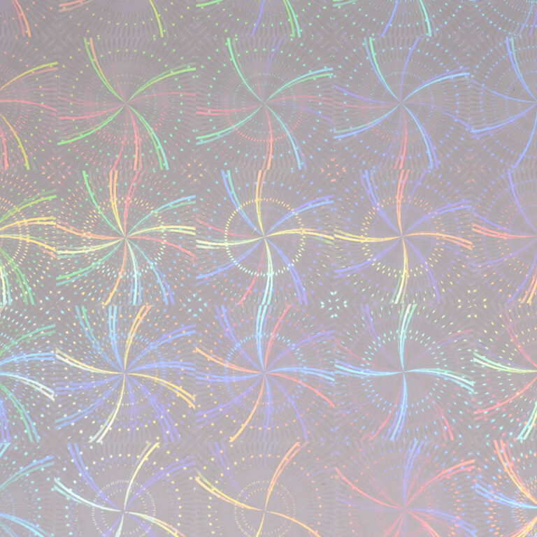 HOLO-2013